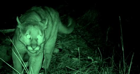 Exclusive Naked and Afraid XL Clip Previews Run.